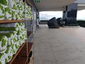 20180711-coop-1-165