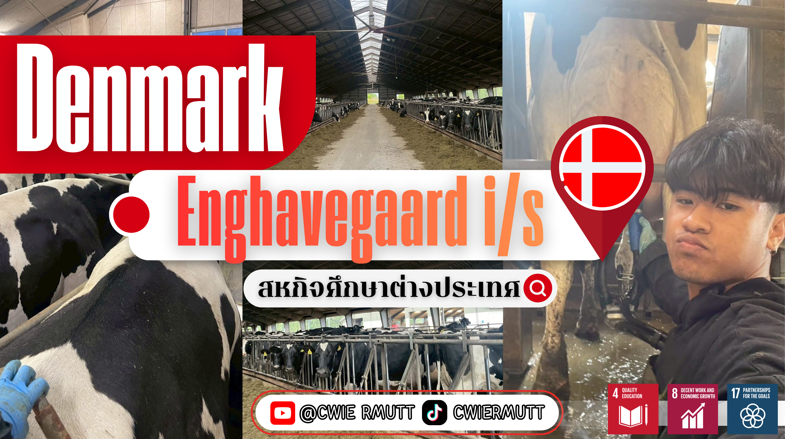 สหกิจศึกษาต่างประเทศ ณ Enghavegaard i/s , ประเทศเดนมาร์ก นักศึกษาคณะเทคโนโลยีการเกษตร สาขาสัตวศาสตร์